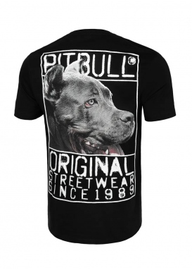 Pit Bull Origin