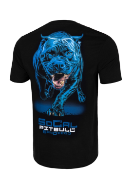 Pit Bull In Blue